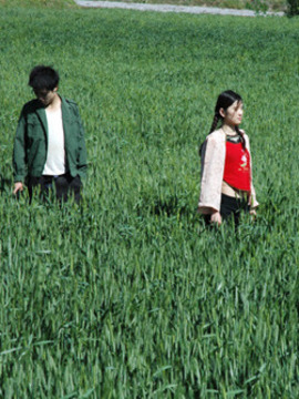 麥田里的芭蕾劇情介紹_劇情家