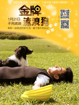 金牌流浪狗劇情介紹_劇情家