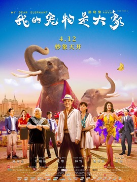 我的寵物是大象劇情介紹_劇情家