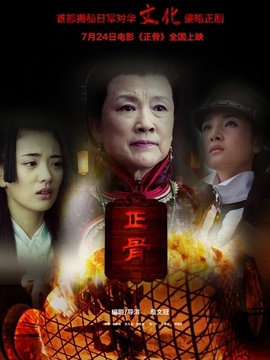 正骨劇情介紹_劇情家