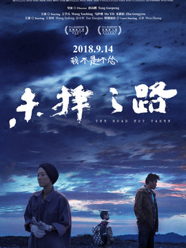 未擇之路劇情介紹_劇情家