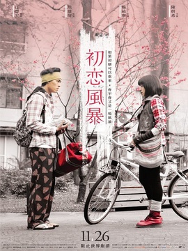 初戀風(fēng)暴劇情介紹_劇情家