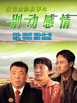 法官老張軼事之別動感情劇情介紹_劇情家