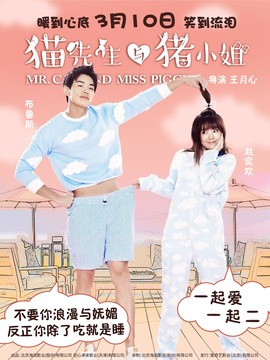 貓先生與豬小姐劇情介紹_劇情家