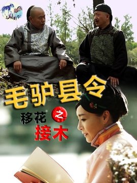 毛驢縣令之移花接木劇情介紹_劇情家