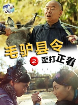 毛驢縣令之歪打正著劇情介紹_劇情家