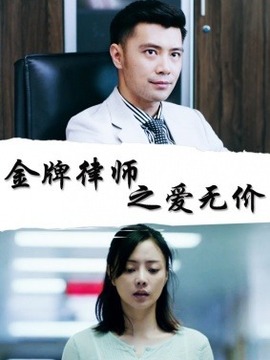 金牌律師之愛無價劇情介紹_劇情家