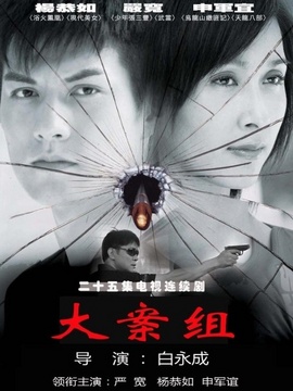 大案組劇情介紹_劇情家