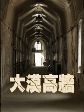 大漠高墻劇情介紹_劇情家