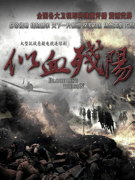 似血殘陽劇情介紹_劇情家