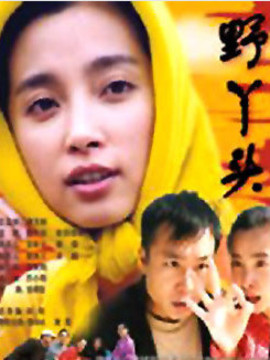 野丫頭劇情介紹_劇情家