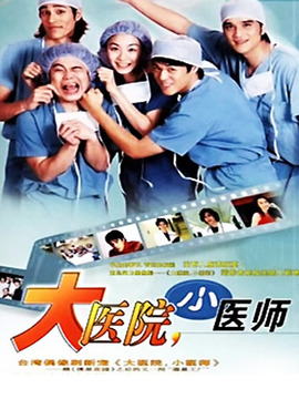 大醫院小醫師劇情介紹_劇情家