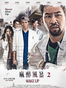 麻醉風暴2劇情介紹_劇情家