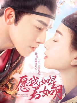 愿我如星君如月劇情介紹_劇情家