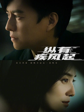 縱有疾風(fēng)起劇情介紹_劇情家